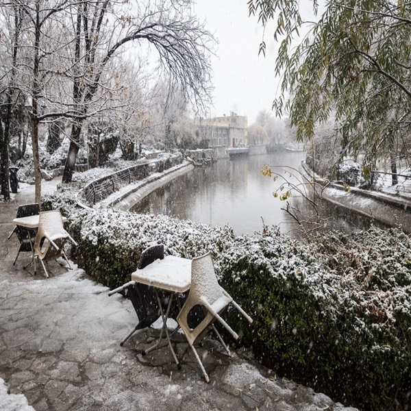 تصاویر: بارش شدید برف در مشهد