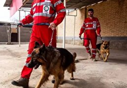 ببینید/ هلال احمر: جست‌وجو و نجات یک شهروند با کمک سگ‌ زنده‌یاب