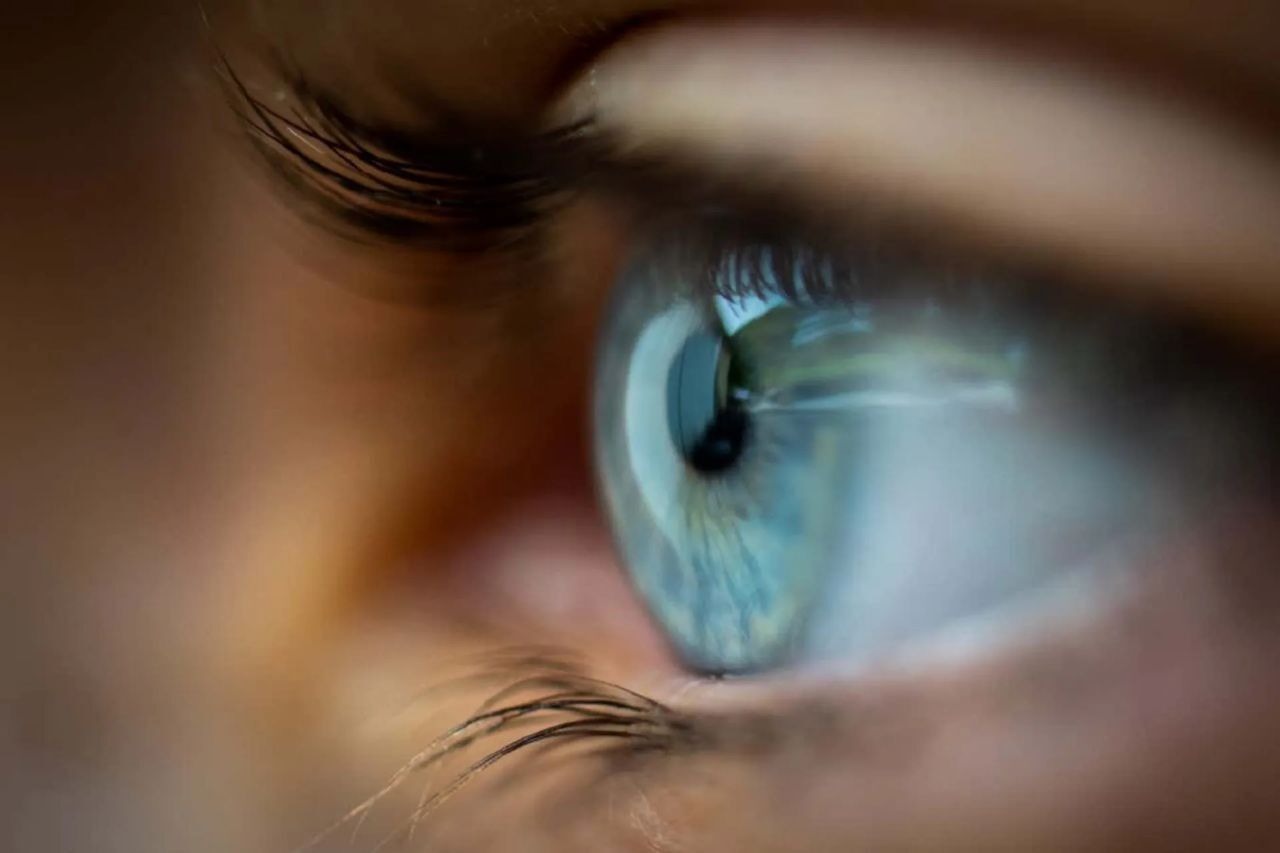 برای اولین بار ویروس حیوانات آبزی در چین به انسان‌ها منتقل شده است