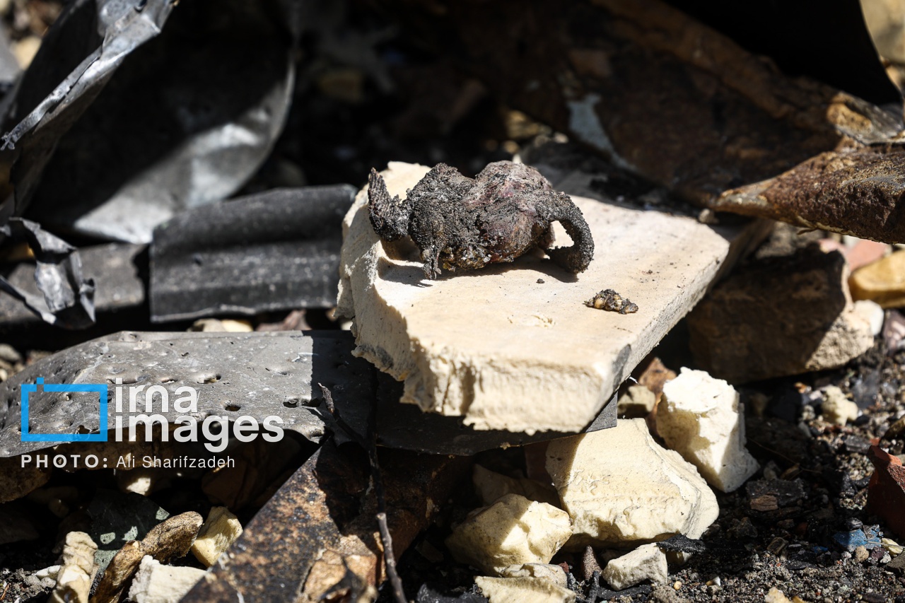 تصاویر: آثار حملات هوایی به دانشگاه شهید بهشتی ایران