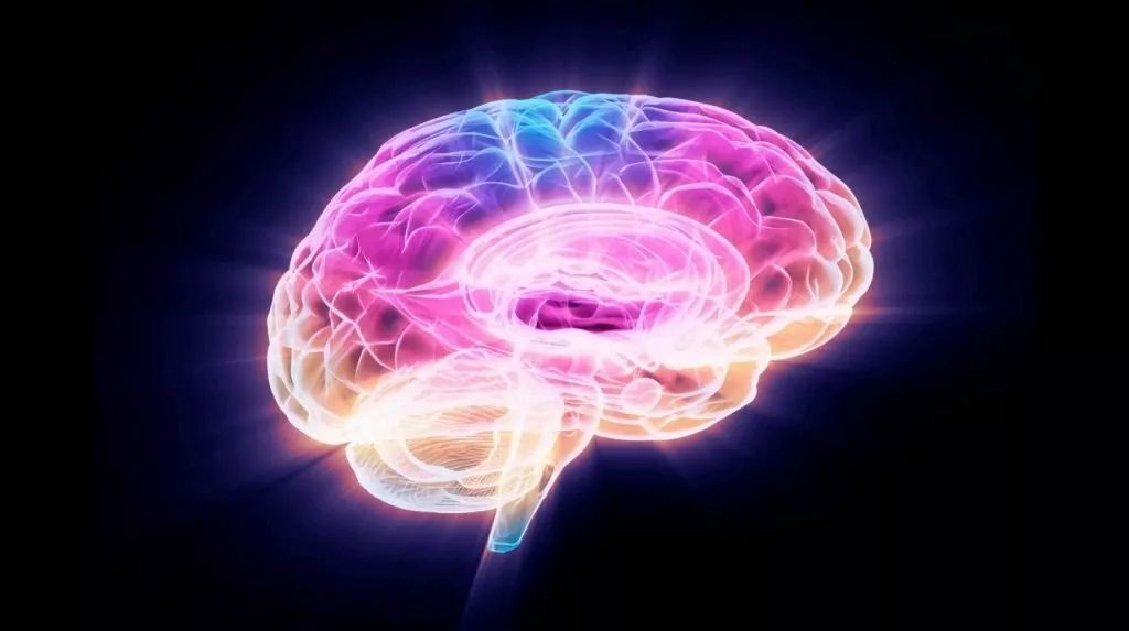 راهی برای مقابله با پیری؛ کاهش یک پروتئین در مغز می‌تواند کلید جوان‌سازی باشد