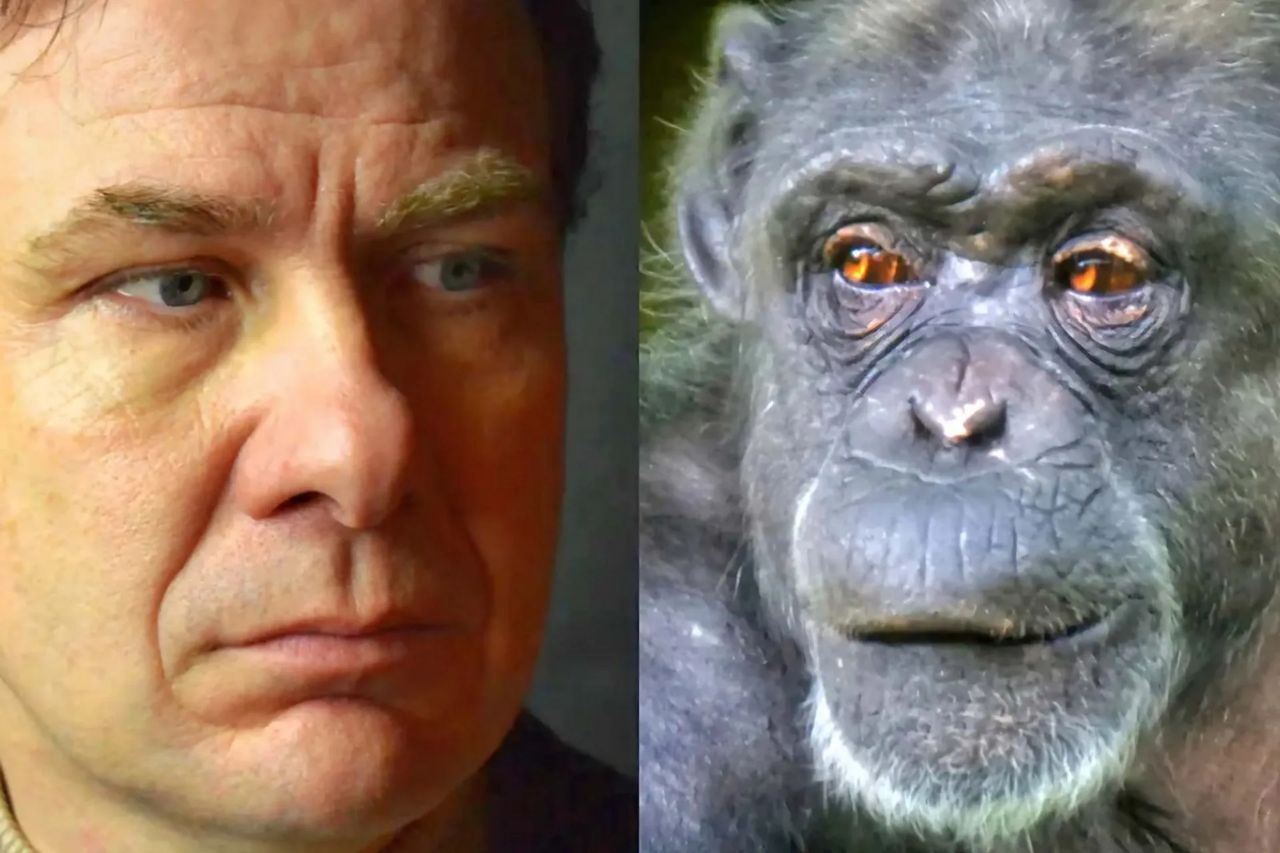 سفیدی چشم یکی از ویژگی‌های کلیدی ماست؛ اما فقط انسان‌ها صاحب آن نیستند