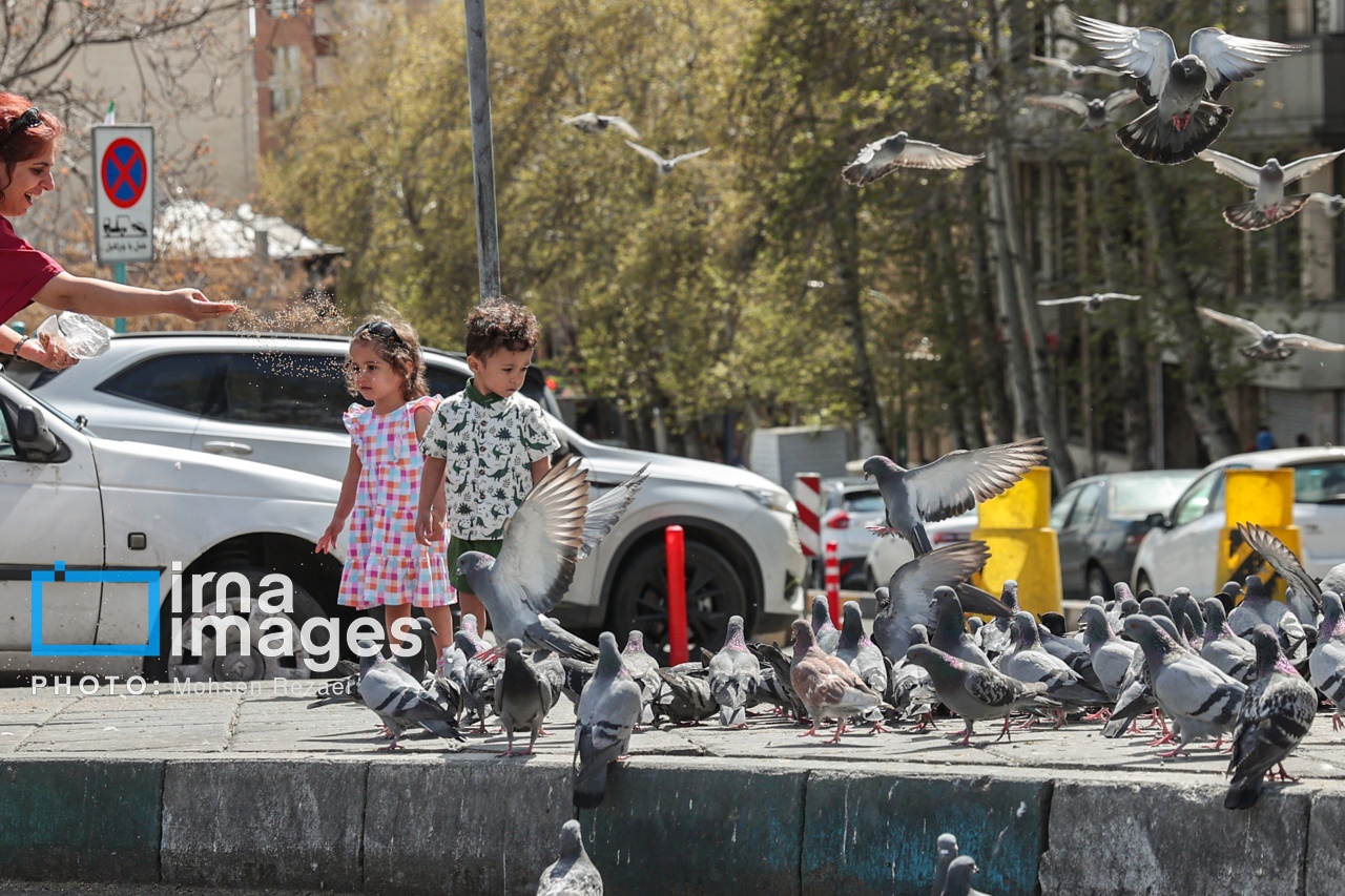 تصاویر: تهران پس از آتش‌بس