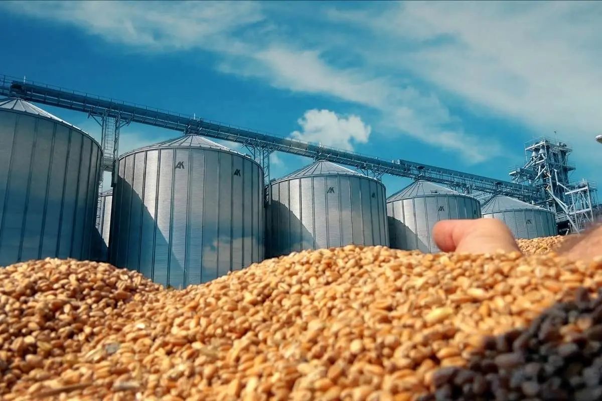 بلومبرگ: قیمت گندم در مسیر ثبت بزرگترین افزایش هفتگی خود در نزدیک به دو ماه قرار گرفت، زیرا کاهش عرضه کود‌های شیمیایی مرتبط با جنگ در ایران، نگرانی‌ها را نسبت به عرضه این محصول تشدید کرده/ فلزات صنعتی در بورس فلزات لندن به بالاترین حد تاریخی خود جهش کردند؛ این افزایش ناشی از رشد قیمت آلومینیوم به دلیل جنگ خاورمیانه است