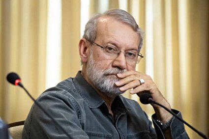 ببینید / روایت فرزند شهید لاریجانی از واکنش ایشان بعد از رد صلاحیت شدن