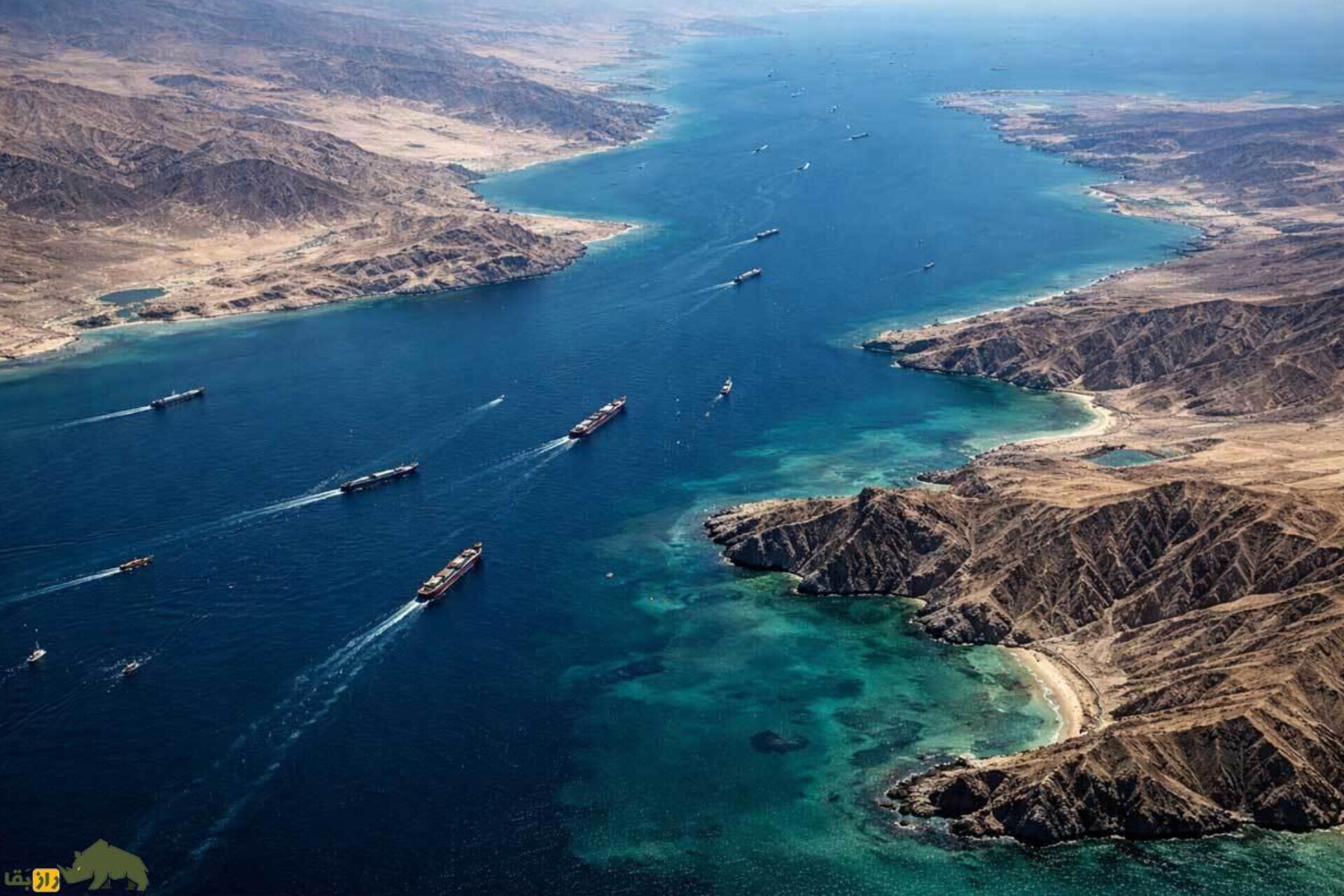 سی‌ان‌ان: ترافیک در تنگه هرمز کاملاً متوقف شده؛ بیشتر کشتی‌ها به سمت خلیج عمان حرکت کرده‌اند