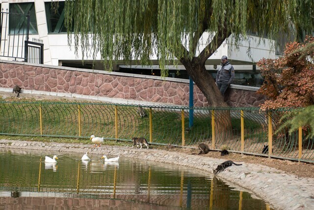 هواشناسی: از امروز تهران خنک می‌شود