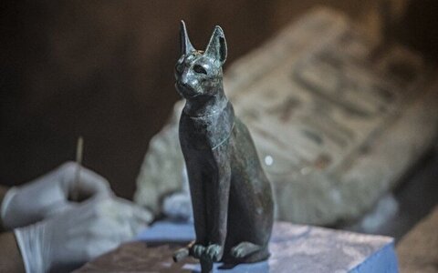 ترفندهای جنگی؛ وقتی‌ گربه‌های ایرانی ارتش مصر را به زانو درآوردند