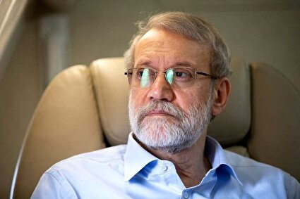 ببینید/ ویدیویی از شهید علی لاریجانی، روز قبل از انتخابات ۱۴۰۰