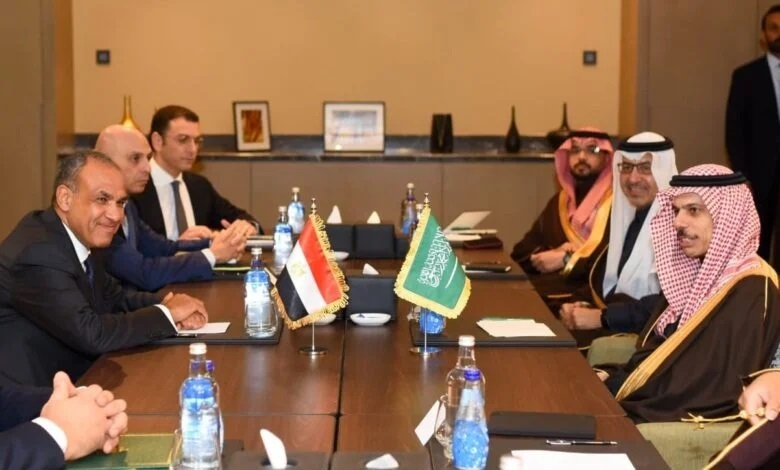 گفت‌وگوی وزیران خارجه مصر و عربستان درباره تحولات منطقه