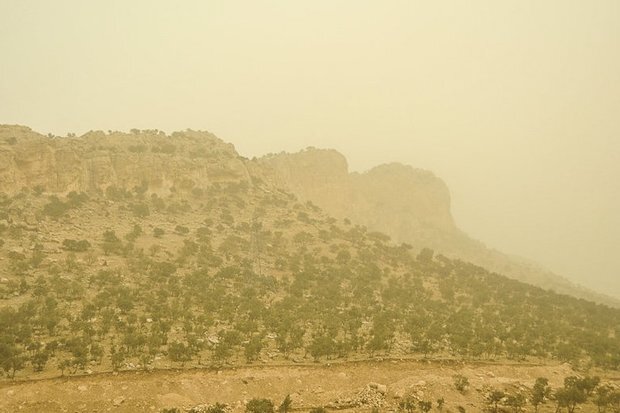 کارگروه اضطرار آلودگی هوا: ادارات ایلام به دلیل گرد و غبار تعطیل اعلام شد