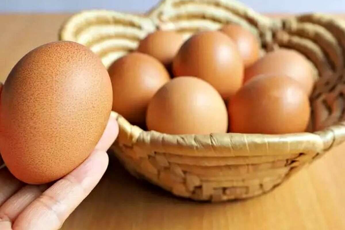 وزارت کشاورزی: قیمت تخم‌مرغ اصلاح می‌شود