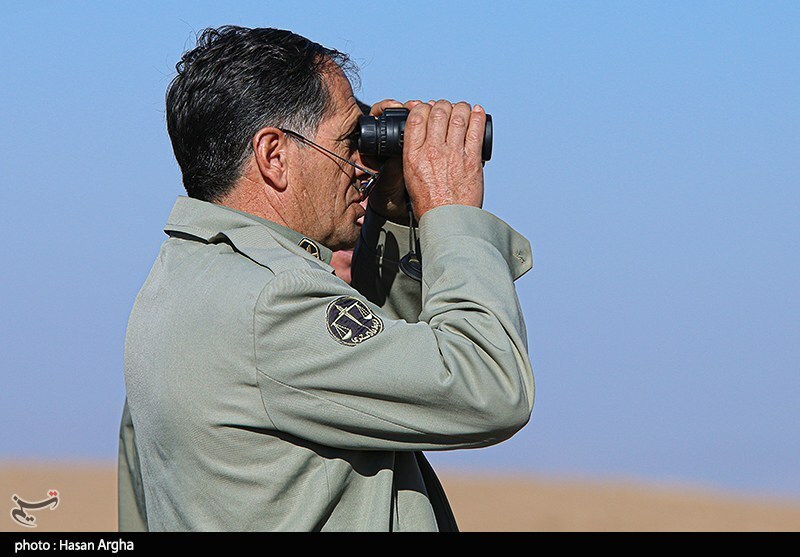 تصاویر: آخرین بازماندگان آهوی ایرانی در شمال غرب کشور