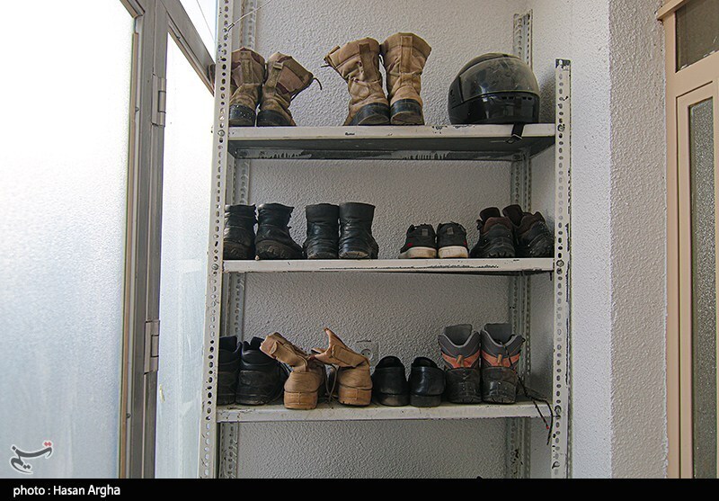 تصاویر: آخرین بازماندگان آهوی ایرانی در شمال غرب کشور