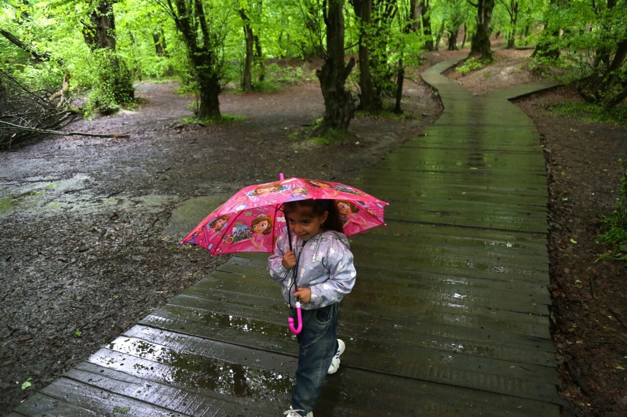 هواشناسی: بارش باران در ۲۱ استان