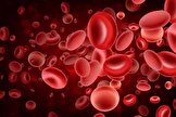 خون ما حاوی بقایایی باستانی است که قدمتشان از کل جانوران بیشتر است