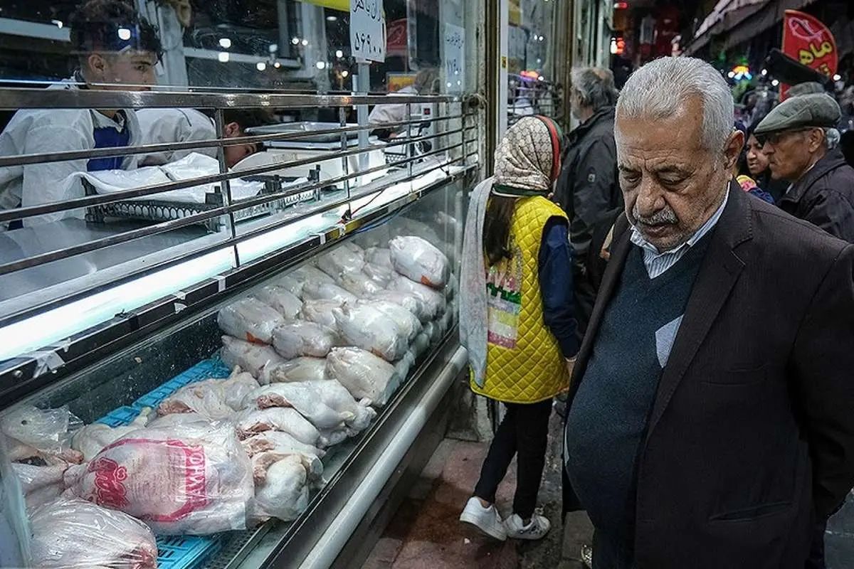 دبیرکل فدراسیون طیور: احتمال افزایش قیمت مرغ تا آستانه ۴۰۰ ه
