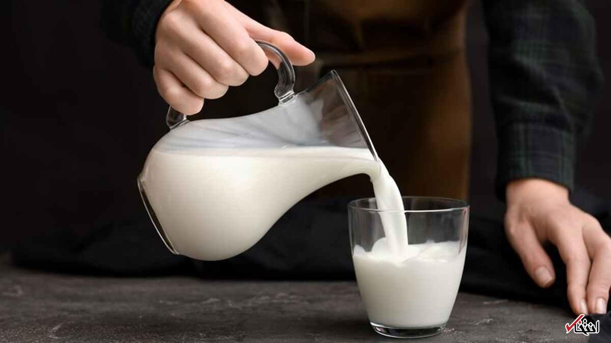 شیر یا تخم‌مرغ؛ کدام منبع پروتئین بهتری است؟