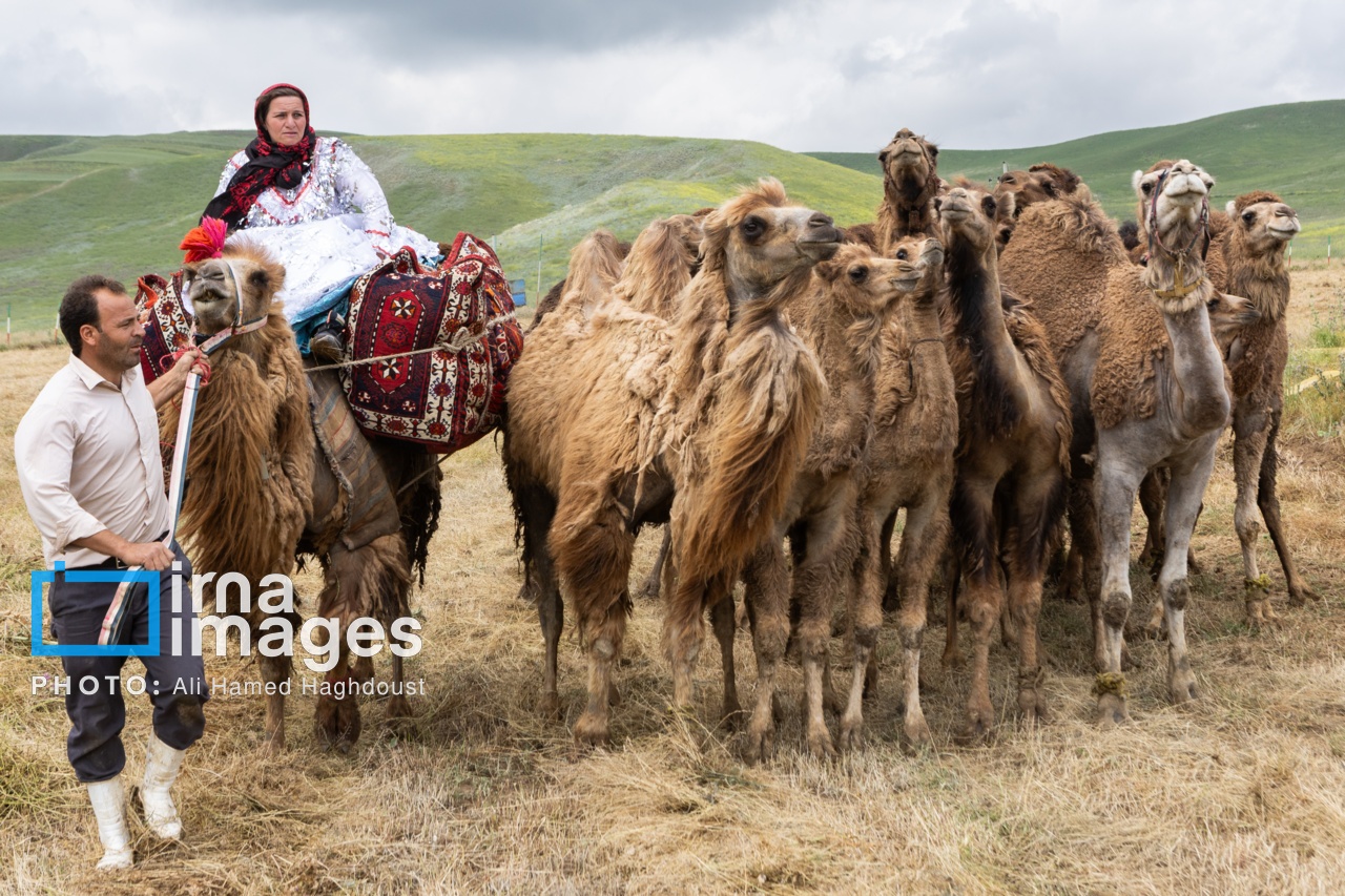 تصاویر: سی‌ویکمین جشنواره عشایر آذربایجان