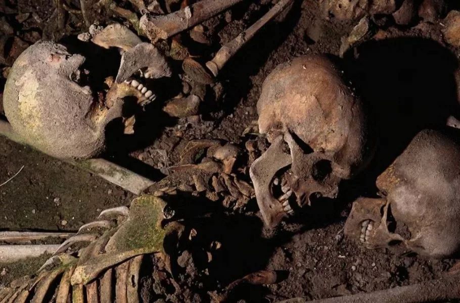 پیش‌بینی محققان درباره انقراض انسان: جمعیت جهان تا سال ۲۴۱۵ به آستانه نابودی می‌رسد