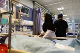 اسفناج سمی تعدادی از شهروندان بجنوردی را راهی بیمارستان کرد