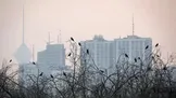 جلسه کارگروه آلودگی هوای تهران تا دقایقی دیگر تشکیل می‌شود