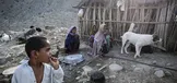۷۴ درصد مردم سیستان و بلوچستان زیر خط فقر امنیت غذایی هستند / دولت در حمایت از اقشار آسیب‌دیده موفق عمل نکرد /  آمار مبتلایان سیستان و بلوچستان صعودی شد