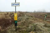 تالاب انزلی آرام می‌میرد / لکه‌های خشکی در تالاب انزلی در یک دهه گذشته هر سال بیشتر شده است