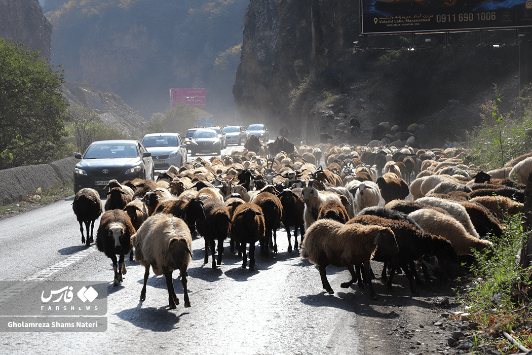تصاویر: انسداد پر دردسر