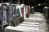 دردهای مادران شهدا تا روز آخر زندگی