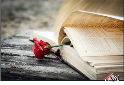 چگونه شکست عشقی را درمان کنم؟