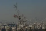 کیفیت هوای تهران ناسالم شد؛ بیماران قلبی در خانه بمانند