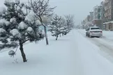 بارش ۵۵ سانتی متری برف در روستای علی کرمی دمچنار