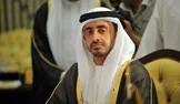 وزیر خارجه امارات:‌ اقدامات کنونی ترکیه در جهان عرب مناسب نیست