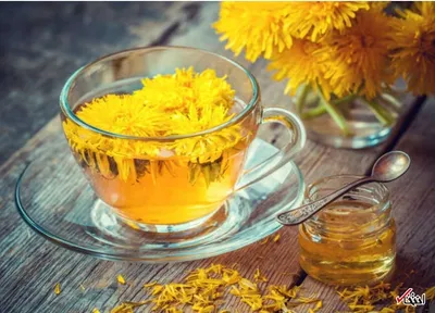 دمنوش‌های گیاهی برای سلامتی و شادی (قسمت اول)