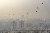 خودروها مقصر ۷۰ درصد آلودگی هوای کرج و تهران / مشکلات اقتصادی می‌تواند ملاحظات زیست‌محیطی را تضعیف کند