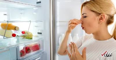 برترین روش های مبارزه با بوی بد یخچال