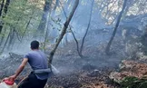 آتش‌سوزی‌در جنگل ابر استان سمنان / وزش شدید باد در منطقه کنترل حریق را با دشواری همراه کرده / اعزام نیرو‌های ارتش، سپاه و آتش‌نشانان ۳ شهر همجوار