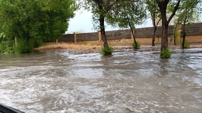 ببینید/ سیلاب در خیابان‌های ساری