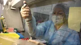 مرگ یک زن در روسیه که در یک مرکز تحقیقاتی مبارزه با طاعون کار می‌کرد / کاخ سفید: شیوع مشکوک طاعون در روسیه را زیر نظر داریم و در حال بررسی گزینه‌ها هستیم