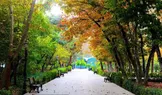 بازگشایی رسمی بوستان‌های تهران غیر از ۴پارک جنگلی