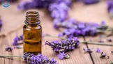 راهنمای کامل روغن‌های اسانسی؛ فواید، خطرات و روش استفاده ایمن