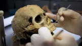 جمجمه‌های کشف‌شده در کنار نخستین پادشاهان مصر، شواهدی از قربانی‌کردن انسان‌ها نشان می‌دهند