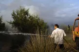 محیط‌زیست: وقوع ۶ فقره آتش‌سوزی در پناهگاه حیات وحش میانکاله طی سه روز گذشته/ از گسترش حریق به سایر بخش‌های پناهگاه جلوگیری شد/ بررسی علت وقوع این حادثه در دستور کار است