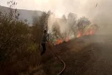 محیط‌زیست: آتش‌سوزی جنگل‌های باگ و چناربرم پس از ۴ ساعت مهار شد/  در این حریق، تعدادی از درختان ارزشمند بنه و بلوط، سوختند