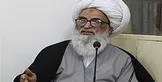 آیت الله بشیر النجفی: جوانان از روزنامه «الشرق الاوسط» دوری گزینند