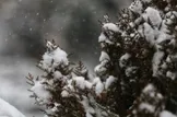 وضعیت آب و هوا، امروز ۲۷ دی ۱۴۰۴؛ کاهش محسوس دما در اغلب مناطق کشور/ طی هفته جاری بارش‌ها به صورت برف خواهند بود