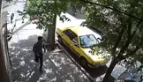 ببینید / ادامه سرقت از دانشجویان در خیابان های تهران