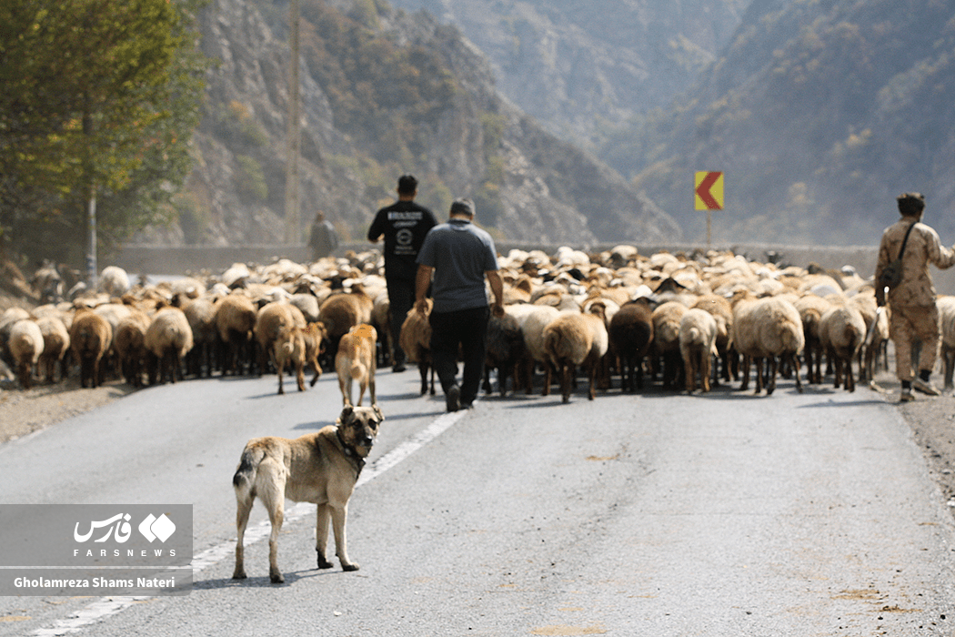 تصاویر: انسداد پر دردسر
