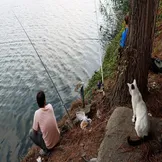 تصاویر: مسابقه ماهیگیری خانوادگی در رشت